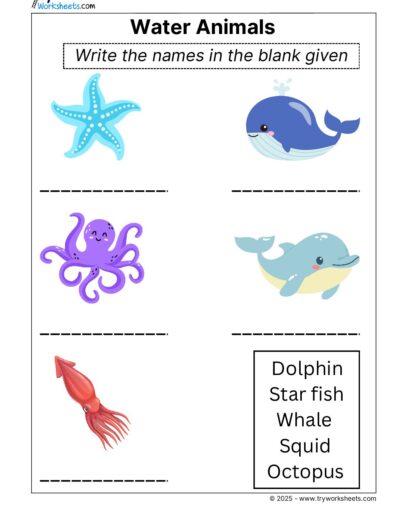 Science Grade 2 Worksheet Water Animals