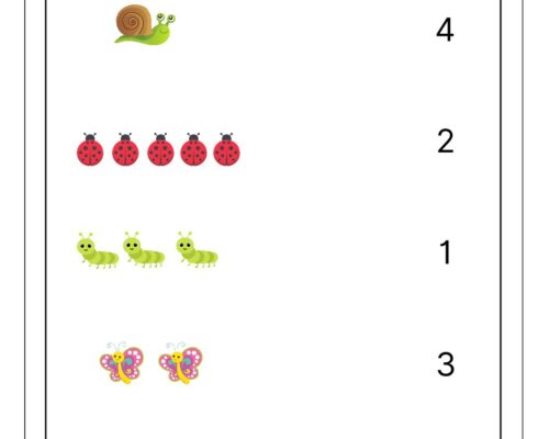 Count the Objects and Match with Numbers