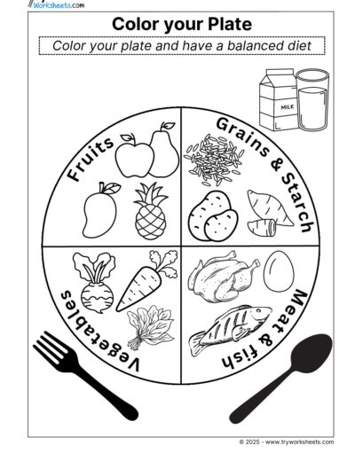 Science Grade 3 Worksheets – Color your plate – Balanced Diet