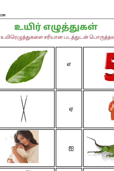 உயிரெழுத்துகளை சரியான படத்துடன் பொருத்தவும்.