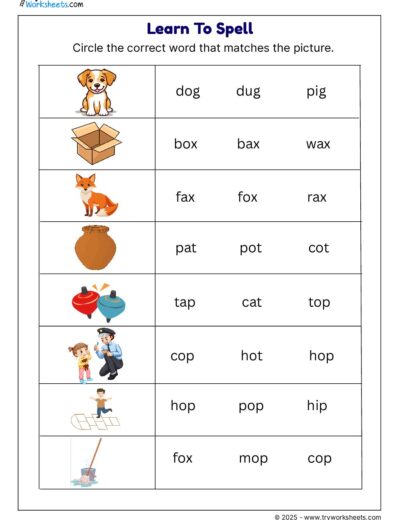 Grade 1 English Worksheet – Learn to Spell with Pictures