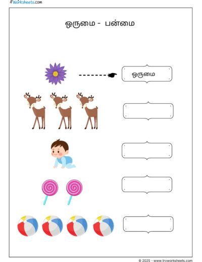 Grade 2 Tamil Worksheet – Singular-Plural