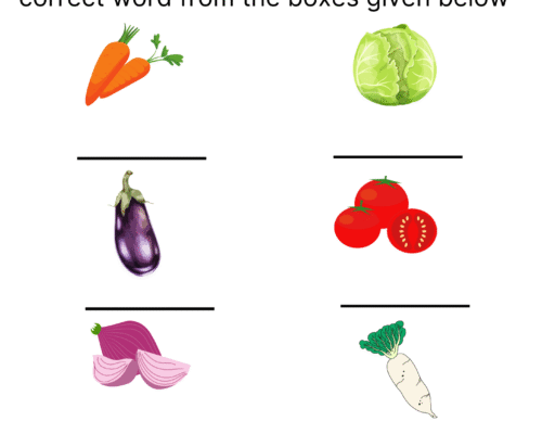Vegetables