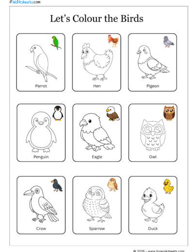 Theme-Based Coloring Worksheets for Kids-Birds