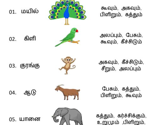 Tamil Worksheets – Grade 5 – Match Animals And Sounds