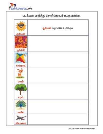 Tamil – Grade 2 Worksheet – Frame Sentence – Picture