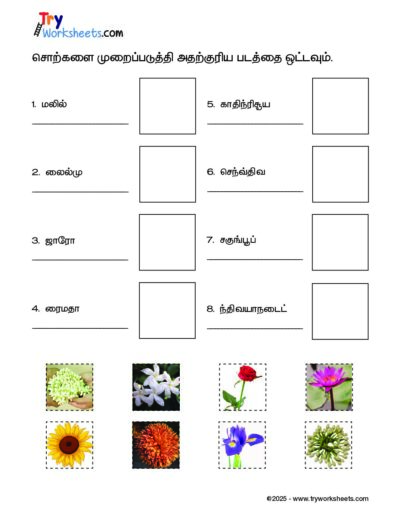 Tamil – Grade 3 – Cut and Paste Worksheet – Arrange the Flower Names and Match with the Picture