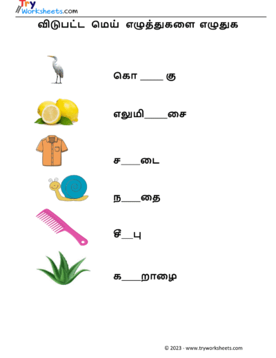 மெய் எழுத்துகளை எழுதுவோம்