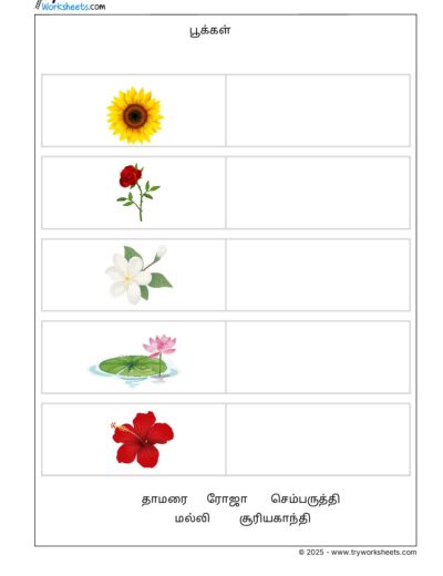 Tamil Grade 1 Flowers ( பூக்கள் )