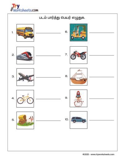 Tamil – Grade 2 Worksheet – Look at the Picture and Write the Name
