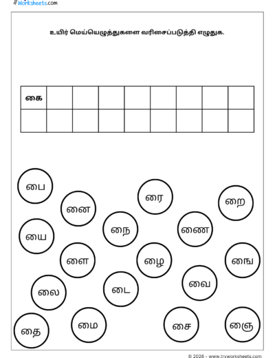 Tamil Grade 1 Worksheet – Uyirmei Ezhuthukkal Order Writing Practice