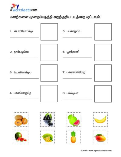 Tamil – Grade 3 – Cut and Paste Worksheet – Arrange the Fruit Names and Match with the Picture