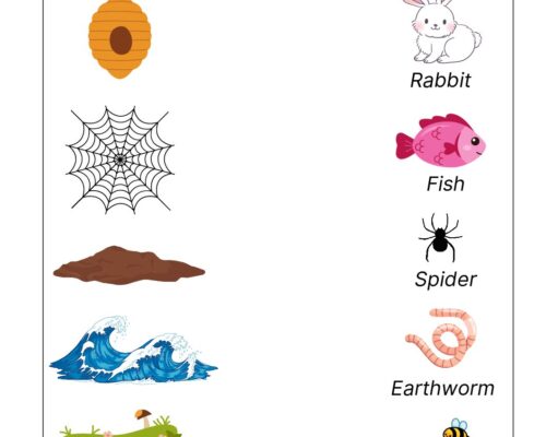 Science Grade 3 Worksheets – Animal’s Homes