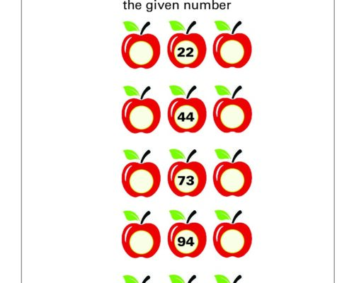 Math – Grade 1: Before and After Worksheet | Find the Numbers