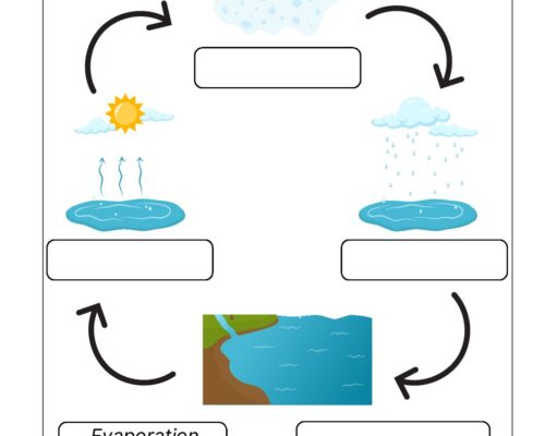 Science Grade 2 Worksheet Water cycle
