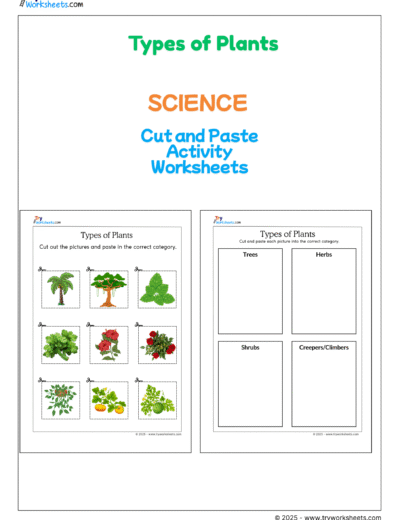 Science – Types of Plants Cut and Paste Worksheet | Fun Activity for Kids