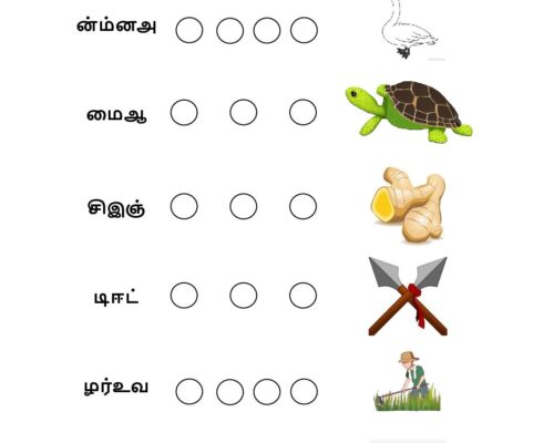 புதிய சொல் உருவாக்குக – 2