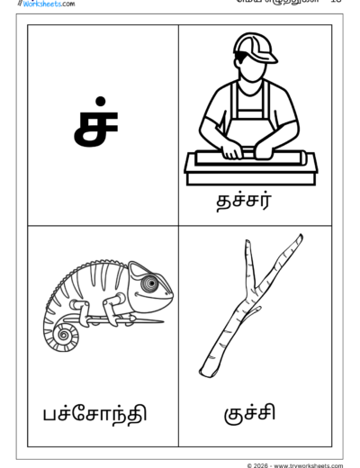 Tamil Mei Eluthukkal Coloring Worksheet – Letter ச்