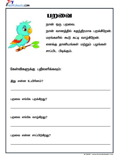 Prose Comprehension – Bird