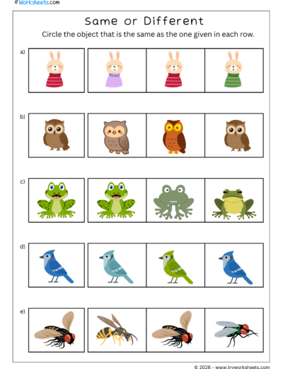 Same or Different Math Worksheets for Kids-3