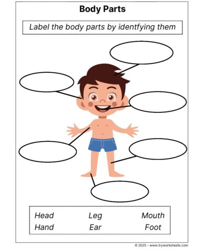 Science Grade 1 Worksheet – Parts of the Body