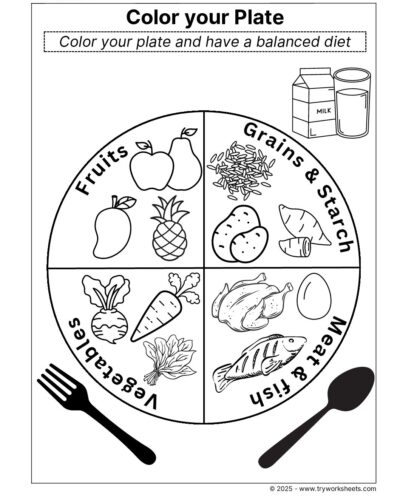 Science Grade 3 Worksheets – Color your plate – Balanced Diet