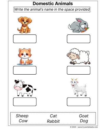 Science Grade 1 Worksheet – Domestic Animals