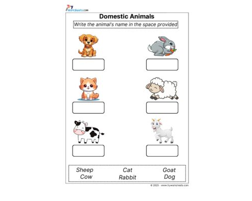 Science Grade 1 Worksheet – Domestic Animals