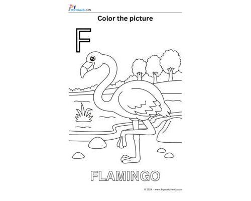 Color the Picture – F