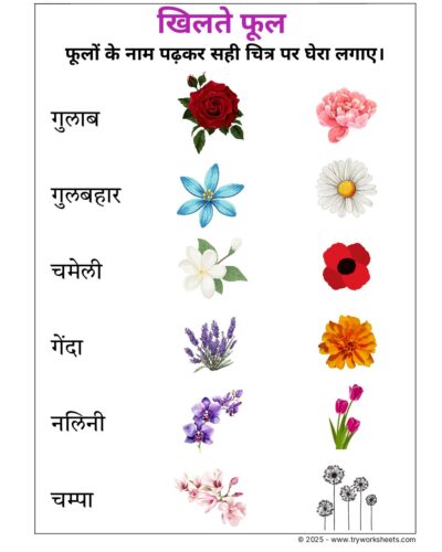 Hindi UKG Worksheet  – Flowers 1