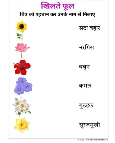 Hindi UKG Worksheet  – Flowers 2