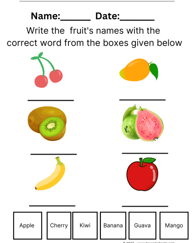 Fruits
