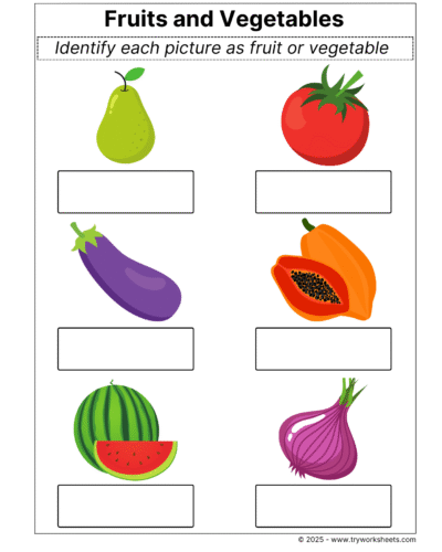 Science Grade 1 Worksheet – Fruits and vegetables