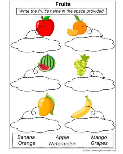 Science Grade 1 Worksheet – Fruits