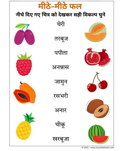 Hindi UKG Worksheet  – Fruits 2