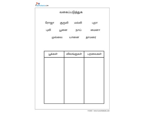 Grade 2 – Tamil Worksheet – Classifications