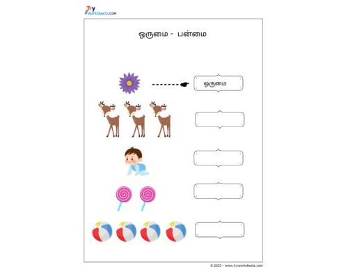 Grade 2 Tamil Worksheet – Singular-Plural