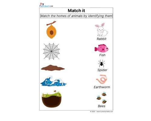 Science Grade 3 Worksheets – Animal’s Homes