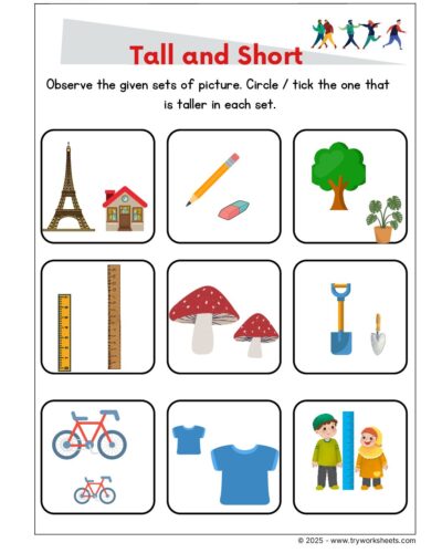 Math KG Worksheet – Tall and Short