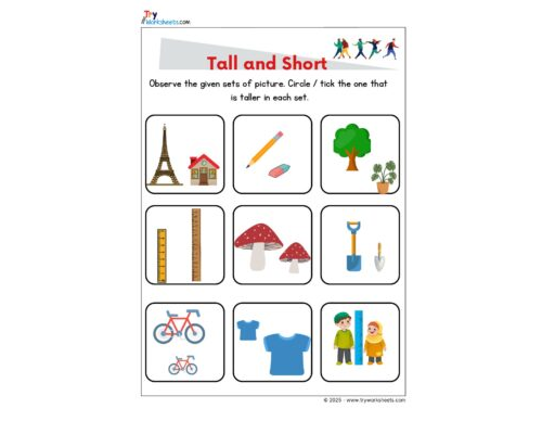 Math KG Worksheet – Tall and Short