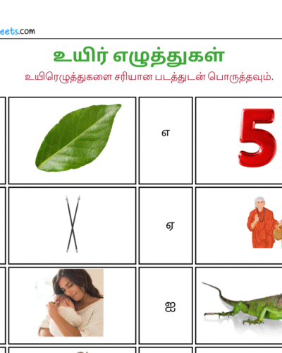 உயிரெழுத்துகளை சரியான படத்துடன் பொருத்தவும்.