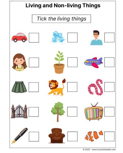 Science Grade 1 Worksheet – Living