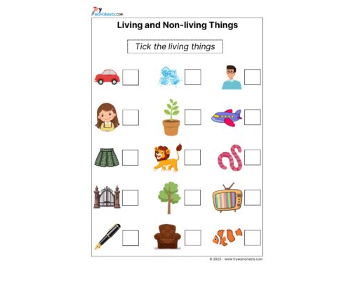 Science Grade 1 Worksheet – Living