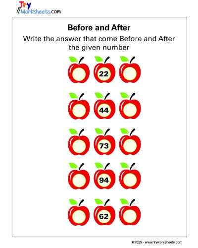 Math – Grade 1: Before and After Worksheet | Find the Numbers