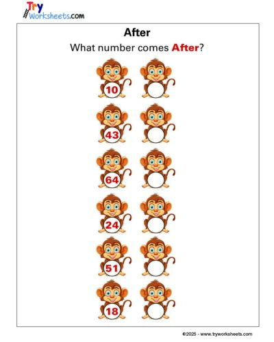 Math – Grade 1: What Number Comes After? Worksheet