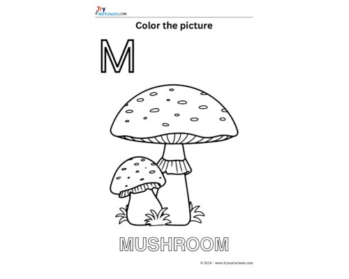 Color the Picture – M