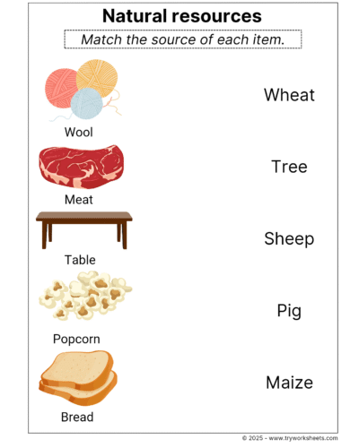 Science Grade 1 Worksheet – Natural resources