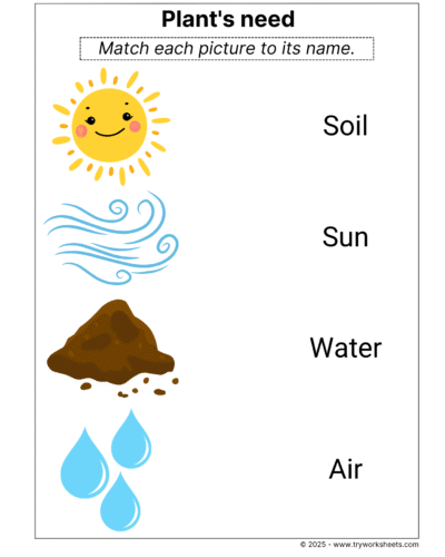 Science Grade 1 Worksheet – Plant’s need
