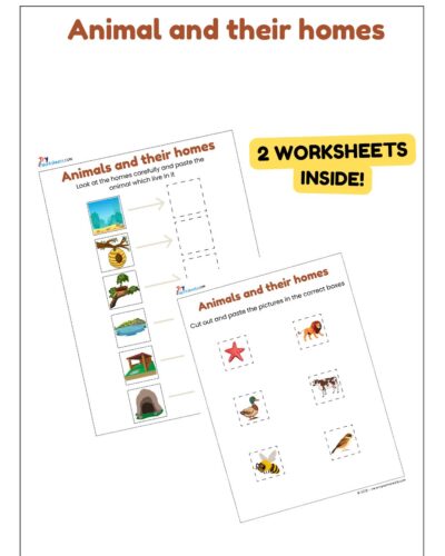 Science Activity Worksheets – Animal Homes | Cut & Paste for Kids
