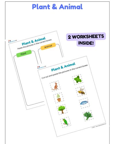 Science Activity Worksheets – Plants & Animals | Cut & Paste for Kids